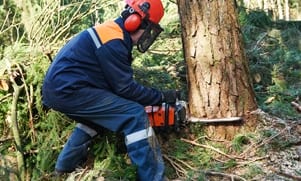 online chainsaw safety course