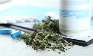 Cannabis At Work Training | Facts, Risks & Effects | SOS First Aid And ...